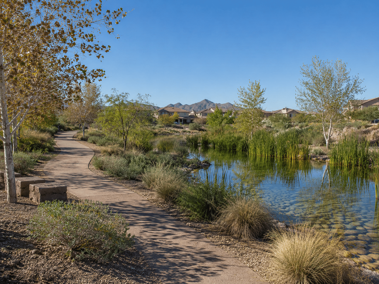 Phoenix Real Estate in Estrella Village near the Rio Salado Habitat Restoration Area and southwest Phoenix open space - West Usa Realty