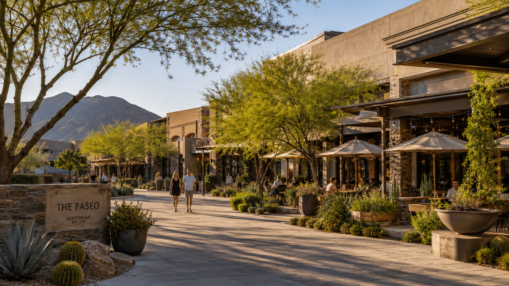 Cactus Corridor Scottsdale neighborhood street with mature desert landscaping