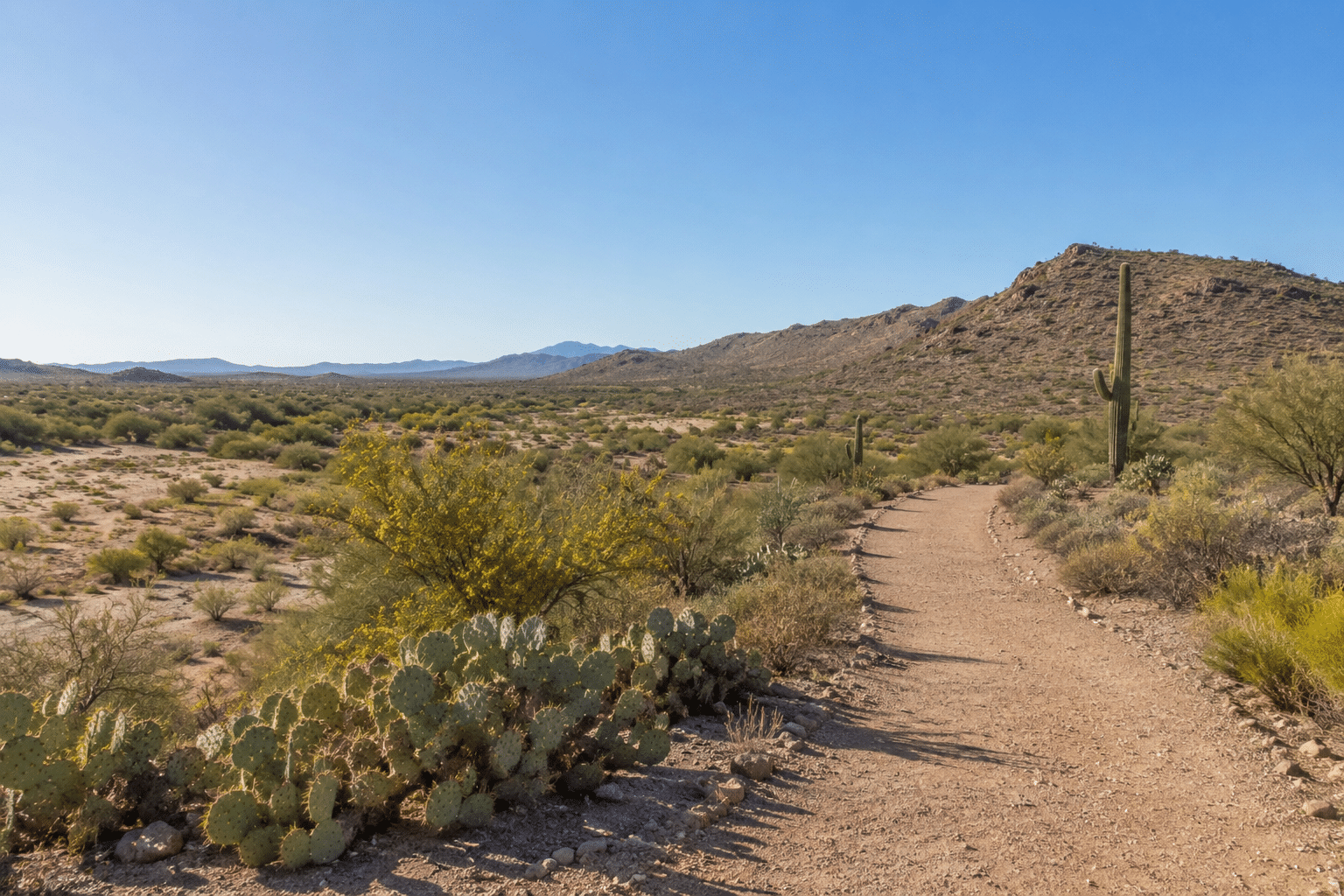 Cave Creek Regional Park hiking trail adjacent to Desert Hills community