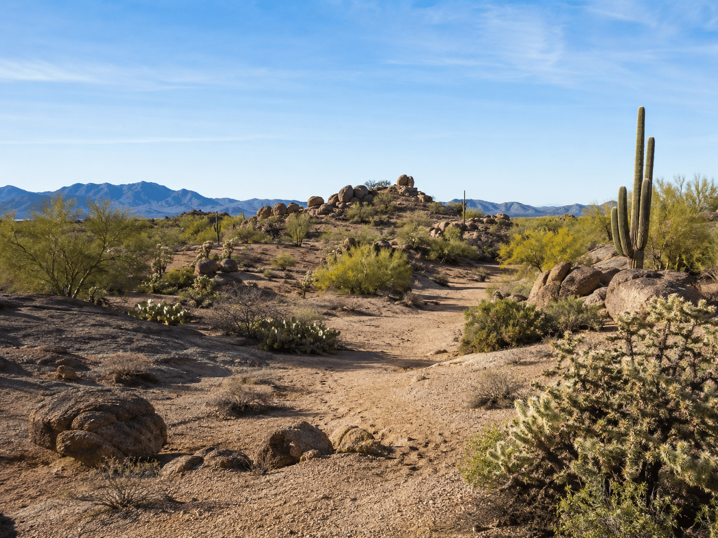 South Mountain Park hiking trails Laveen Estrella Crossing neighborhood